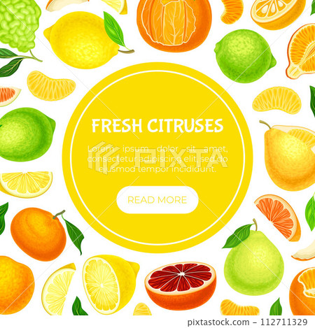 Citrus Fresh Juicy Bright Banner Design Vector Template 112711329