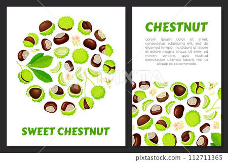 Chestnut Banner Design with Brown Kernel in Green Thorn Shell Vector Template Chestnut Banner Design with Brown Kernel in Green Thorn Shell Vector Template 112711365