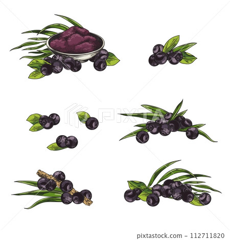Acai berry food set hand drawn sketch style vector illustration isolated. 112711820