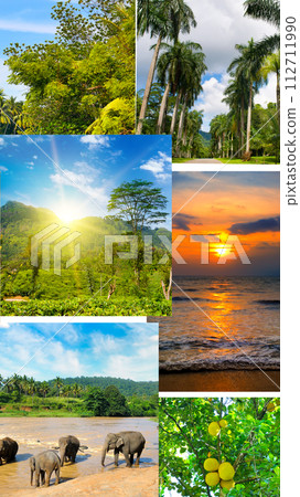 Photo collage of tropical landscapes. Concept - vacation and travel. Sri Lanka. Vertical photo Photo collage of tropical landscapes. Concept - vacation and travel. Sri Lanka. Vertical photo 112711990