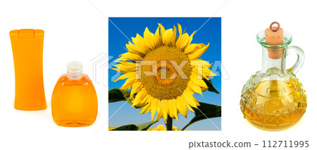 Skin care cosmetics with sunflower seed extract isolated on white. Collage. Wide photo. 112711995