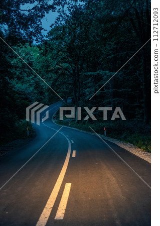 Windy forest evening road in dusk,  headlights illuminate the road, vertical image 112712093