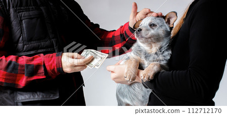 The scene of selling a dog puppy for money. Person has found a new friend and petting a pet. Dog breeder business. Wide image. Australian Cattle Dog (Blue Heeler). 112712170