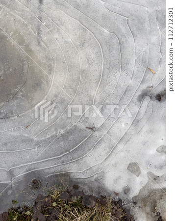 thin transparent ice on a puddle in the park on a winter day, foliage through the ice 112712301