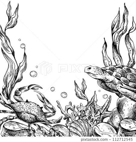 Underwater world clipart with sea animals whale, turtle, octopus, seahorse, starfish, shells, coral and algae. Graphic illustration hand drawn in black ink. Template, frame EPS vector. 112712545