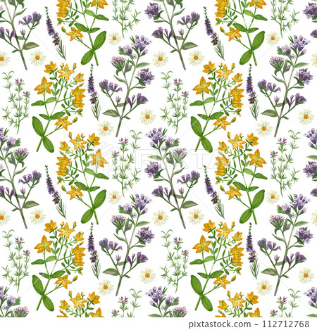 Watercolor pattern. Meadow grasses and flowers echinacea, hypericaceae, heather, chamomile, oregano hand drawn in watercolor. Suitable for printing on paper, fabric, scrapbooking, design, textiles. Watercolor pattern. Meadow grasses and flowers echinacea, hypericaceae, heather, chamomile, oregano hand drawn in watercolor. Suitable for printing on paper, fabric, scrapbooking, design, textiles. 112712768