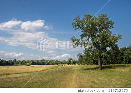 Park of the Chateau Pohansko, Moravia, Czechia Park of the Chateau Pohansko, Moravia, Czechia 112712973