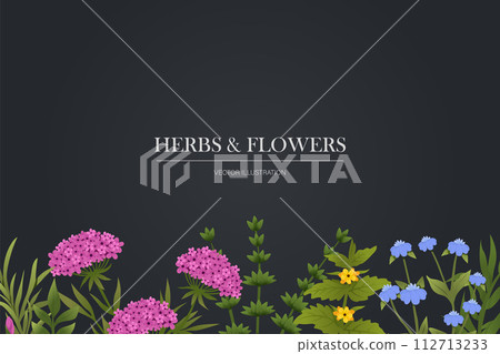 Hand drawn herbal plants banner. Luxury botanical background with trendy wildflowers and minimalist flowers for wall decoration or wedding. 112713233