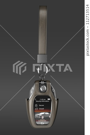 Car remote control key in lather case realistic front view 3d render on darck Car remote control key in lather case realistic front view 3d render on darck 112713514