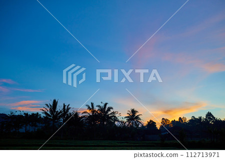 Silhouette of palm and tropical trees against the sunset. Silhouette of palm and tropical trees against the sunset. 112713971