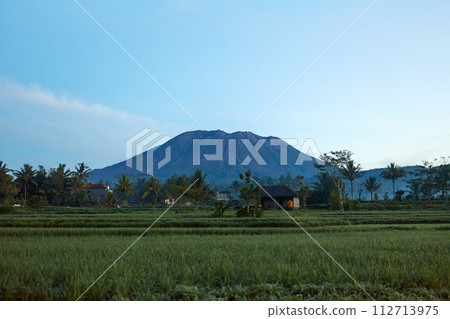 Panorama of Mount Agung and rice fields on the island of Bali. View of the mountain against a background of palm trees and a cornfield. Panorama of Agung volcano covered with clouds on a sunny day. 112713975