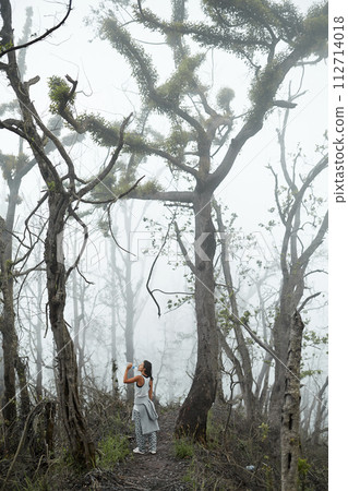 Mystical atmosphere in a destroyed forest on a volcano after an ash eruption. The dead jungle with bare tree trunks and palm trees on the mountain is covered with clouds or fog. 112714018