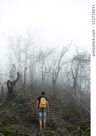 Hiker with backpack climbs through the destroyed forest on volcano after an ash eruption. Dead jungle with bare tree trunks and palm on the mountain is covered with clouds or fog. Mystical atmosphere. Hiker with backpack climbs through the destroyed forest on volcano after an ash eruption. Dead jungle with bare tree trunks and palm on the mountain is covered with clouds or fog. Mystical atmosphere. 112714031