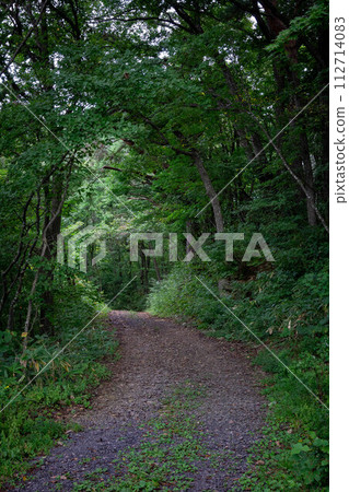 綠色環繞的道路 綠色環繞的道路 112714083