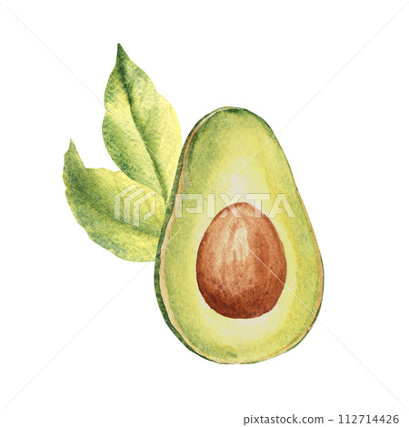 Avocado half fruit with leaves. Hand drawn botanical watercolor illustration on white background. 112714426