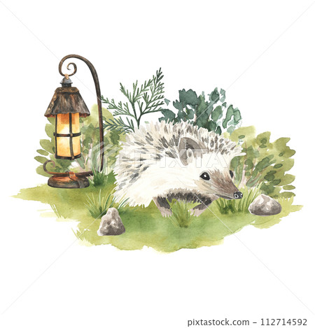 Watercolor illustration of a cute hedgehog standing on grass with lantern . Perfect for woodland greeting cards . Hand drawn illustration. 112714592