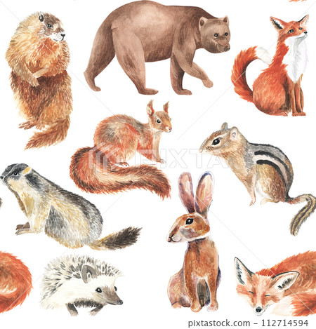 Cute squirrel, groundhog, bear, fox, hare, hedgehog, chipmunk. Forest little animals repeat seamless pattern. Watercolor hand paint illustration. Ideal wallpaper or baby fabric design. 112714594