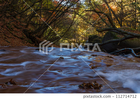秋天的長野，奧立科，賞秋葉的最佳時間，橫谷（橫谷） 112714712