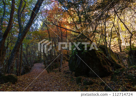 Nagano in autumn, Okutateshina, the best time to see the autumn leaves, Yokotani Valley (Yokotani Gorge) 112714724