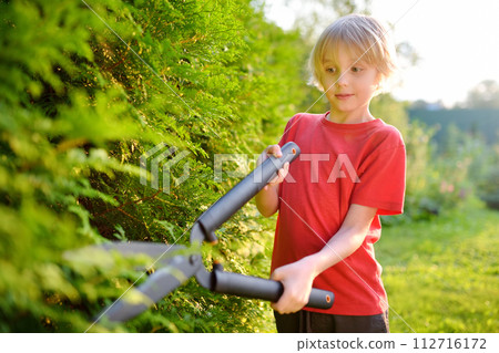 Portrait of cute preteen boy gardener. Child trimming thuja hedge with a pruner in domestic garden on sunny summer day. Kid helping parents with seasonal work in the yard 112716172