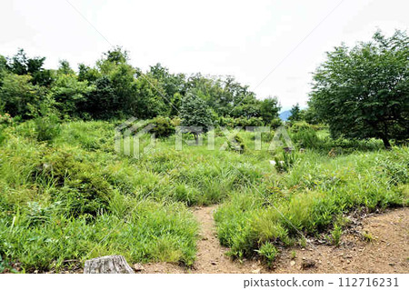 Odari Castle Ruins Omaya 112716231