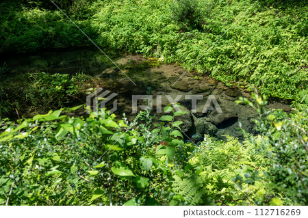 Hiruzen Shiogama cold spring water 112716269