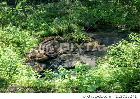 Hiruzen Shiogama cold spring water 112716271
