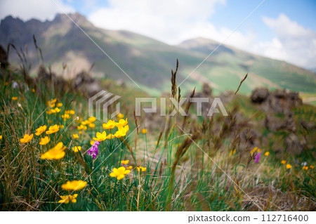 Landscape high mountains in dense fog tops of mountains in clouds North Caucasus Elbrus 112716400