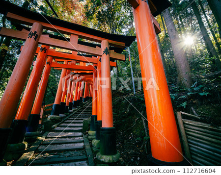 Fushimi Inari Taisha Kyoto Torii 112716604