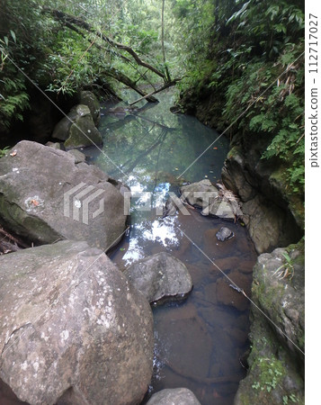 Stream surrounded by boulder rocks runs through forest 112717027