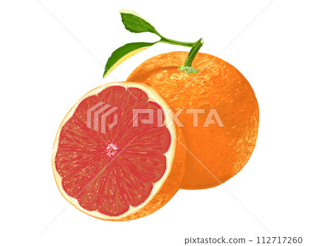 粉柚子(斜切) 粉柚子(斜切) 112717260