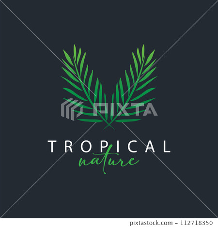 Palm Leaf Logo Design Vector Simple Minimalist Symbol Illustration Template Palm Leaf Logo Design Vector Simple Minimalist Symbol Illustration Template 112718350