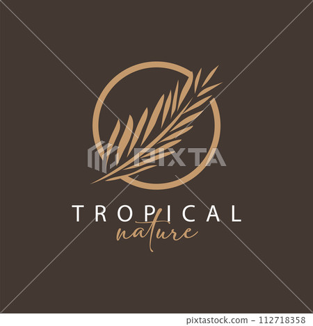 Palm Leaf Logo Design Vector Simple Minimalist Symbol Illustration Template Palm Leaf Logo Design Vector Simple Minimalist Symbol Illustration Template 112718358