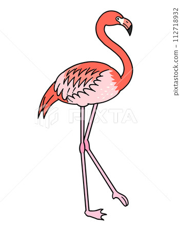 Hand drawn flamingo illustration material Hand drawn flamingo illustration material 112718932