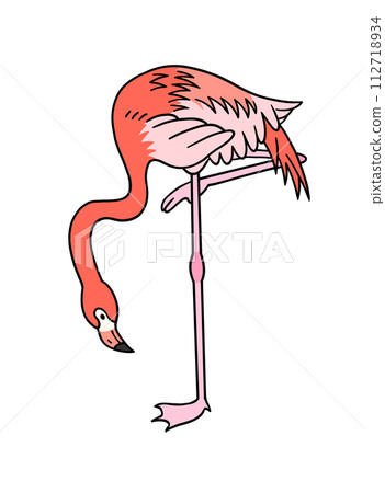 Hand drawn flamingo illustration material Hand drawn flamingo illustration material 112718934