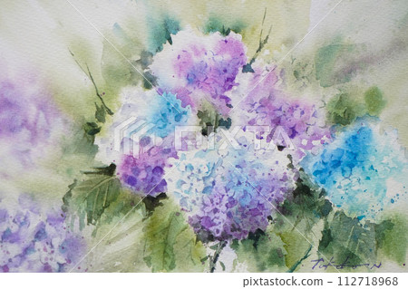 Hydrangea watercolor painting 112718968
