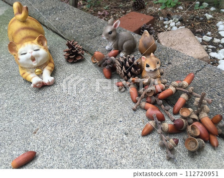 kittens, squirrels, and acorns kittens, squirrels, and acorns 112720951