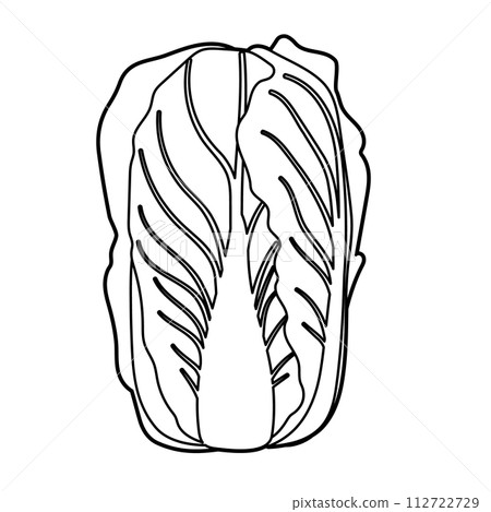 Chinese cabbage 112722729