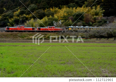 Salon car Naniwa being towed by a DD51 train (Tokaido Main Line Azuchi - Notogawa, March 2024) 112722901