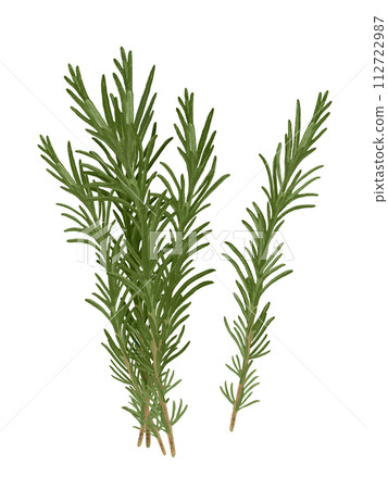 Herb (rosemary) 112722987