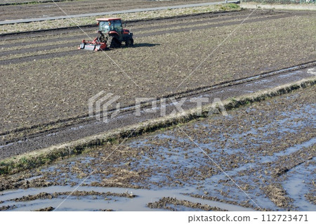 Spring rice fields Spring rice fields 112723471