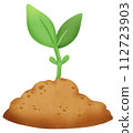 sprouting plant in soil 112723903