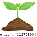 sprouting plant in soil 112723904