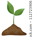 sprouting plant in soil 112723906