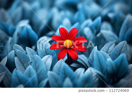 One red flower among crowd grey flowers . Concept of diversity and individuality. Generative ai One red flower among crowd grey flowers . Concept of diversity and individuality. Generative ai 112724069