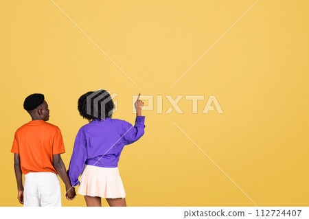 Rear view of a connected young couple, the woman in a purple blouse pointing upwards Rear view of a connected young couple, the woman in a purple blouse pointing upwards 112724407
