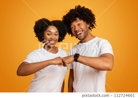 Cheerful young african american man and woman doing fist bump Cheerful young african american man and woman doing fist bump 112724601