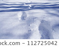 留在雪原的腳印 112725042