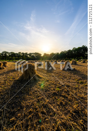 Sunset Over Traditional Haystacks in the Field 112725121