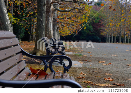Autumn park bench and fallen leaves Autumn park bench and fallen leaves 112725998